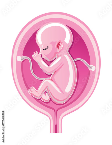 Pink Fetus with Cord in Uterus Illustration