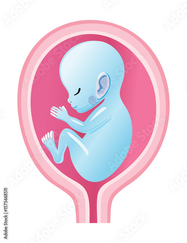 Blue Fetus Illustration in Pink Uterus Shape