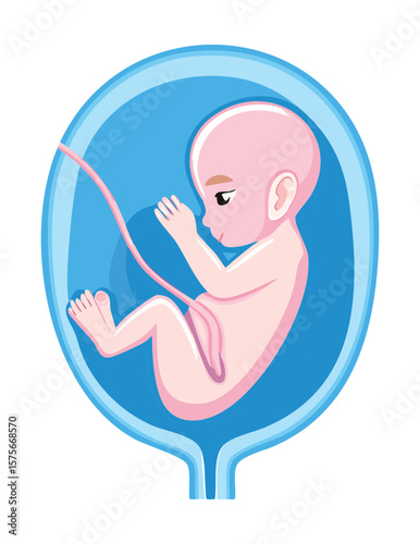 Blue Fetus with Cord in Womb Art