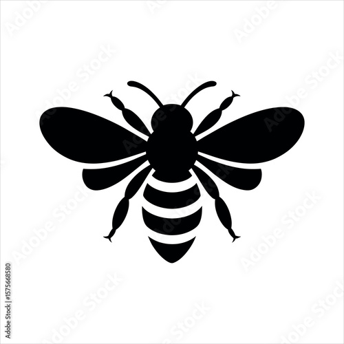 bee vector illustration