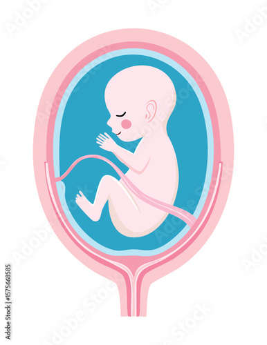 Pink Fetus Reaching in Womb Illustration