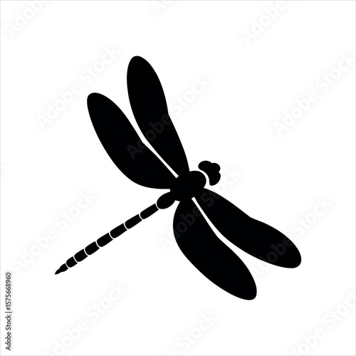 dragonfly isolated on white