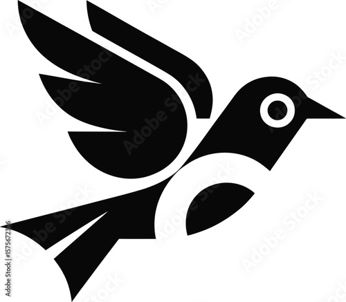 Abstract Black and White Bird in Flight
