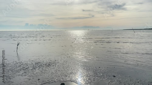 Minimalist scene of a tranquil watery plain with subtle movements and bright sky reflections.