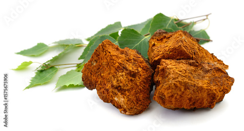 Εκτύπωση καμβά Pieces of birch chaga isolated.