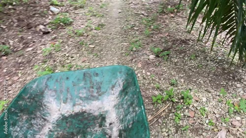 An empty green wheelbarrow moving along a dirt path in an oil palm plantation.