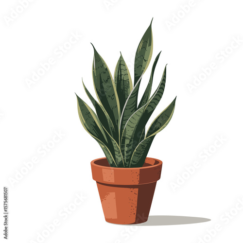 Elegant potted snake plant with soft shading and warm green tones. Vector illustration design.