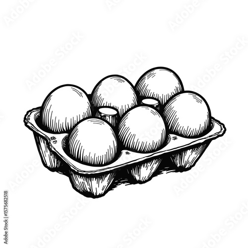 Egg carton with six eggs in sketch style, classic drawing. Egg carton showcases organic shape and fresh white eggs, hand-drawn style conveying rustic charm.