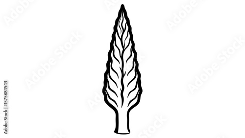 Black Line Art Cypress Tree Detailed Trunk Texture on White