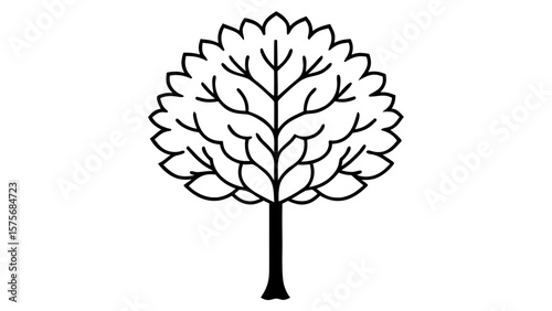 Single Black Line Art Elm Tree Top View Ringed Leaves