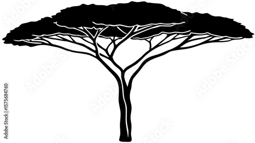 Umbrella Thorn Acacia Tree Silhouette African Style Black Graphic