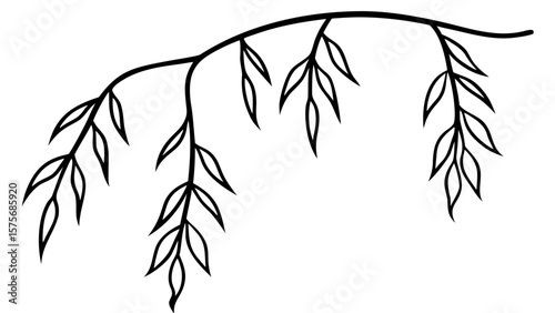 Black Line Art Willow Branch with Hanging Leaves on White