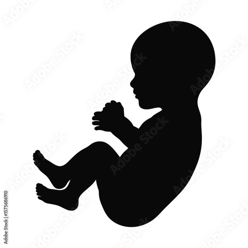 Black Silhouette of Fetus in Utero on White Background