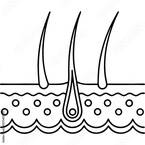 Laser light therapy on skin showing laser-light-pulling-up-skin. Detailed laser-light-pulling-up-skin with skin cross section, hair follicles, and skin layers.