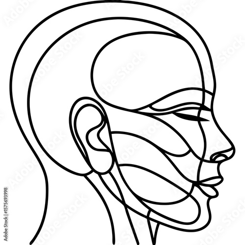 Side profile with lifting lines outlines facial sculpting, rejuvenation treatment. Facial side profile with lifting lines reveals cosmetic face lift or plastic surgery procedures.