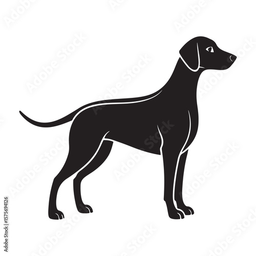 Black dog silhouette standing profile canine white background