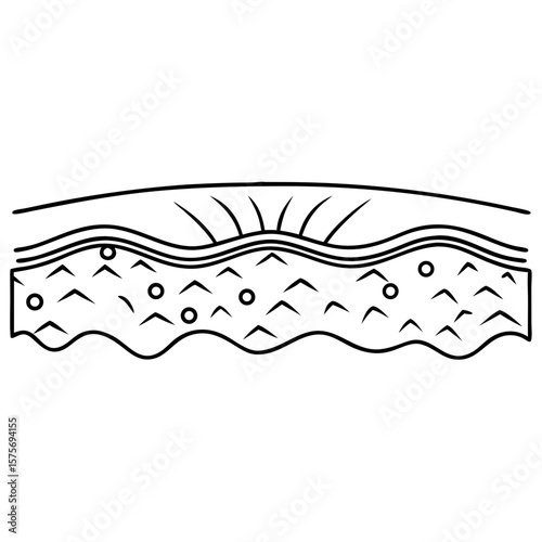 Illustrative smooth skin, representing renewed skin after a zap. Showing smooth skin, after a cosmetic procedure, with underlying layers and a healthy, refreshed surface, a clean,