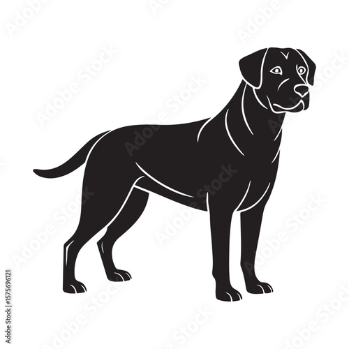 Black dog standing profile canine animal
