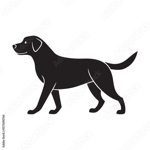 Black labrador walking silhouette vector