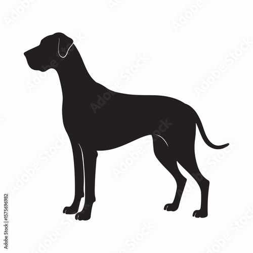 Black silhouette of a standing dog white background