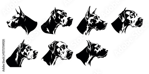 Great Dane Head Silhouette Collection: A stylish collection of Great Dane head silhouettes, showcasing their noble features in various profile views. Perfect for logo design, pet-related branding.