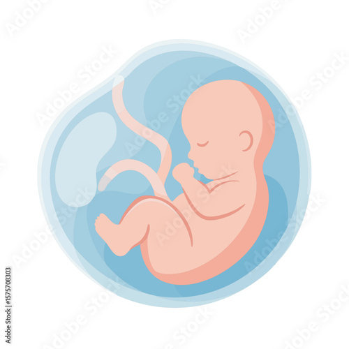 Fetus Floating in Amniotic Sac Flat Vector Isolated