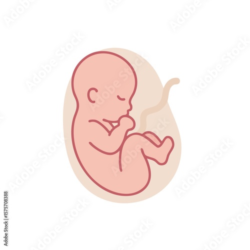 Fetus Floating in Amniotic Sac Flat Vector Isolated