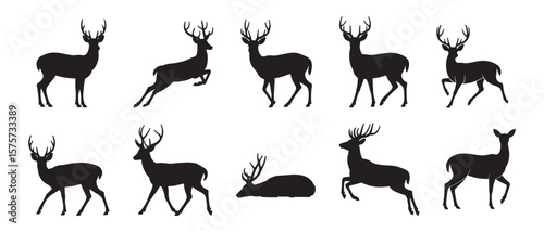 Collection of deer silhouettes vector illustration