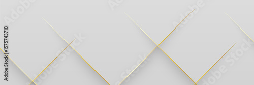 Modern abstract light silver background vector. Elegant concept design with golden line. Vector EPS 10