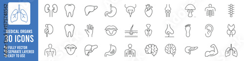 Collection of thirty simplified line art icons representing various human organs and body parts for medical and health related concepts | Ai Generated Icons