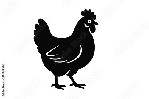 Illustration of a Chicken on white background