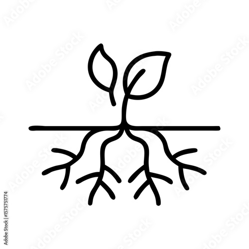 Plant roots spreading underground with young leaves above soil  