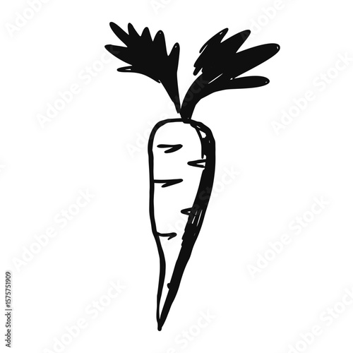 Vintage Hand-drawn Carrot with Tops Vector Illustration.