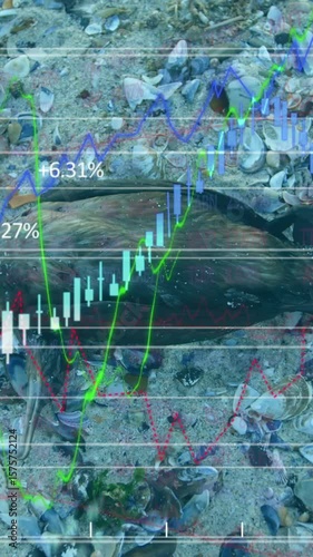 Animation of multiple graphs on overhead view of waste on beach