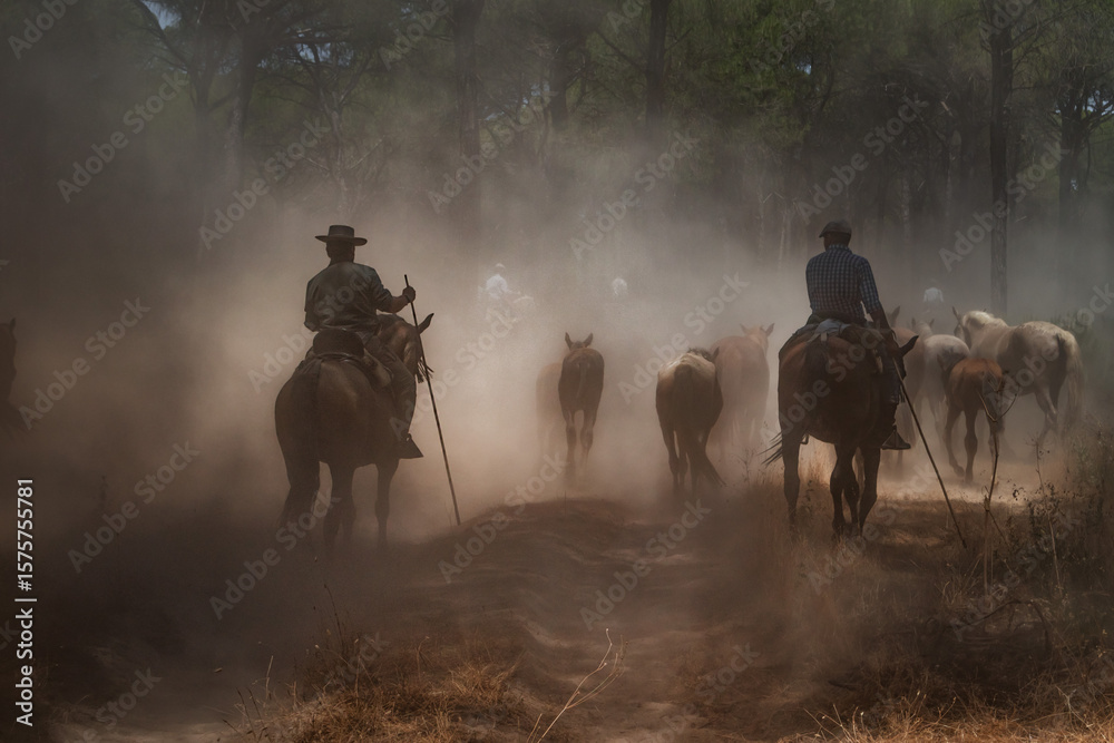 Φωτογραφία Riders drive a herd of horses through dusty pine woods during the annual Saca de las Yeguas in Almonte, Huelva, southern Spain