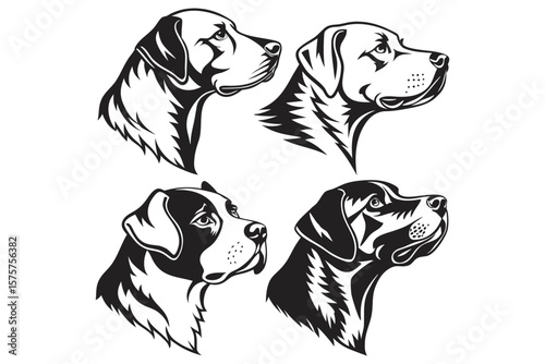 pit bull, detailed, vector. dog