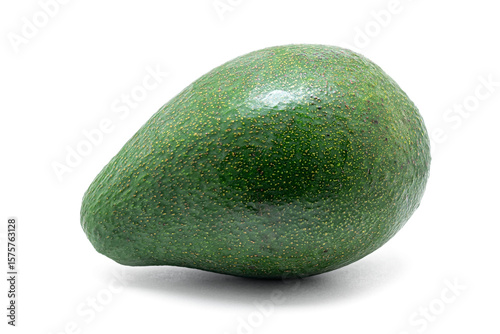 Fuerte avocado fruit (Persea americana Cv. Fuerte), Lauraceae. Fruit tree, evergreen. variety of avocado.