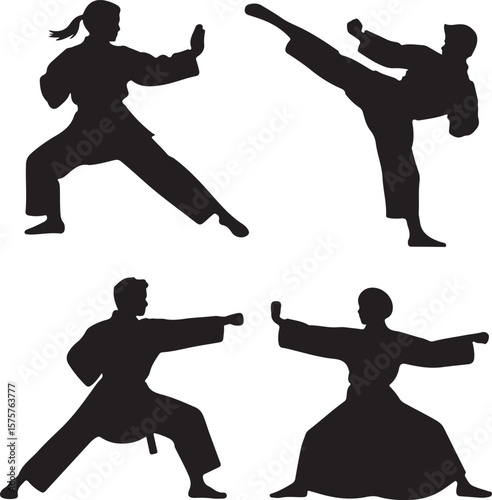 Martial artists in action poses martial arts karate