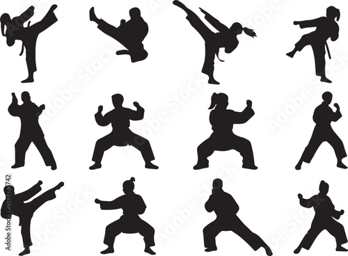 Martial arts fighters performing kicks and stances karate silhouettes