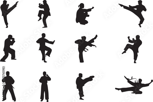 Martial arts practitioners performing various kicks and stances karate taekwondo