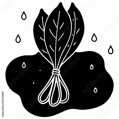 A single bunch of spinach leaves tied with twine, placed on a slate board with water droplets, dramatic lighting and high texture detail, dark editorial mood.