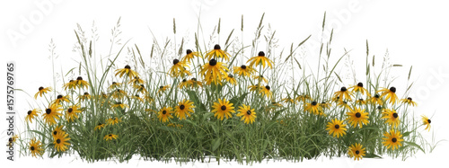 A patch of vibrant yellow coneflowers blooming amidst tall green grass and feathery seed stalks