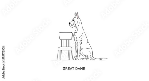 Great Dane illustration showcases a minimal design, featuring clean lines and simple elegance of canine art, making it visually appealing.