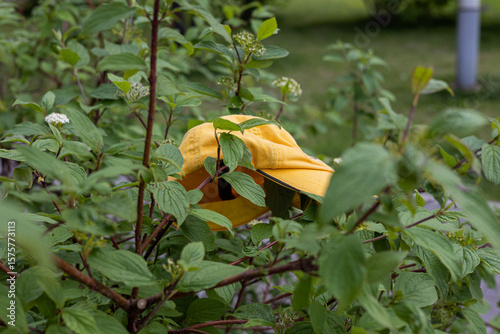 Forgotten Yellow Cap among Green Leaves on a Bush in an Outdoor Setting