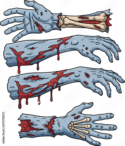 Cartoon zombie arms with blood, bones, decay, horror theme illustration for Halloween, undead creature limbs, scary severed hands drawing