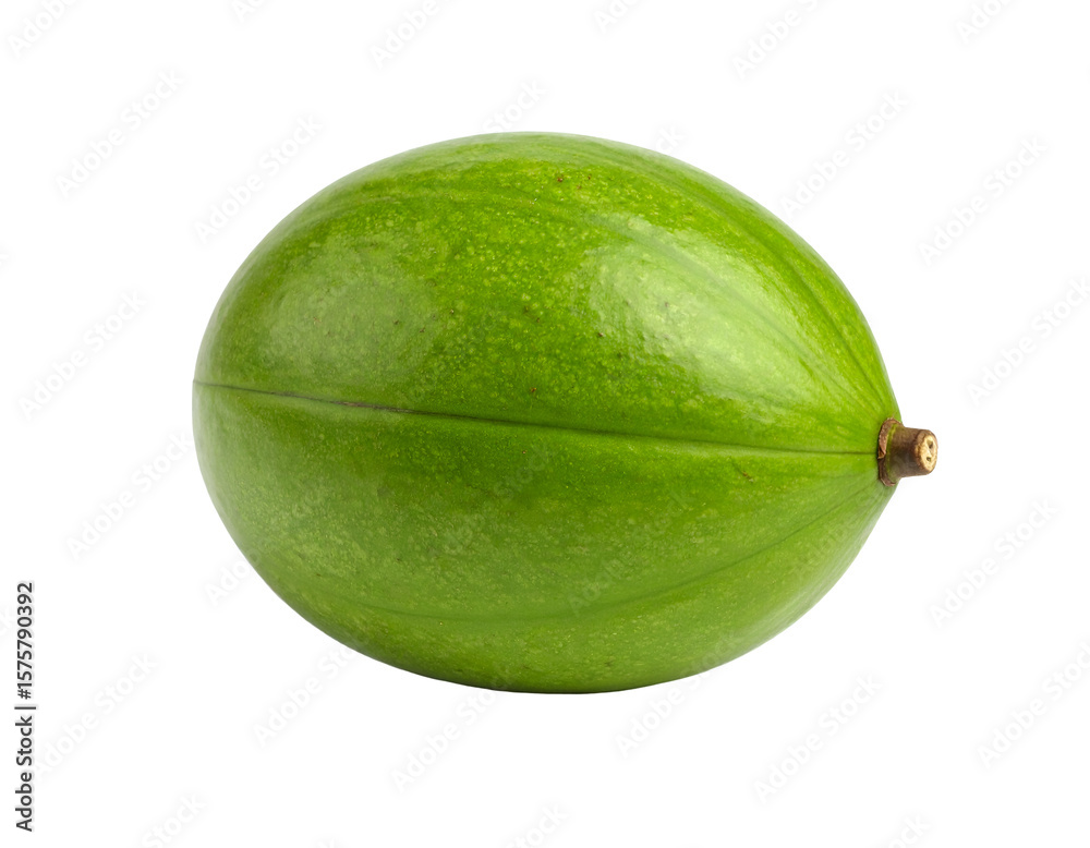 Unripe mango closeup against dark background Unripe mango closeup against dark background