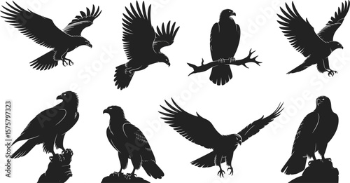 Eagle silhouettes in flight and perched positions, wild bird shapes, raptor wings spread, predator animal illustrations, black vector icons, majestic wildlife design