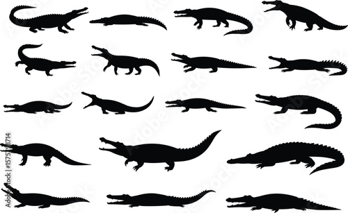 Wallpaper Mural Crocodile and alligator silhouettes set, black reptile icons, animal posture illustrations, dangerous wildlife creatures, vector predator shapes, isolated graphic jungle monsters Torontodigital.ca