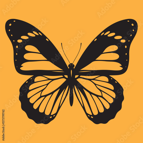 Versatile vector graphic design with a broad spectrum of colors and classic typography