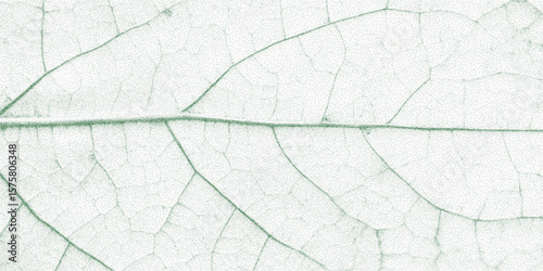 Leaf with many dots on it. Vintage stipple illustration, rough paper photocopy texture. Threshold noise, gritty halftone dots, retro print.